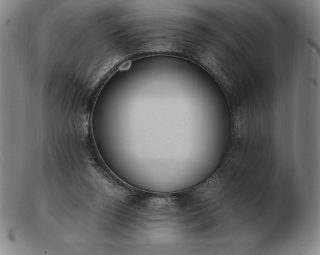X0000103480160200809191907