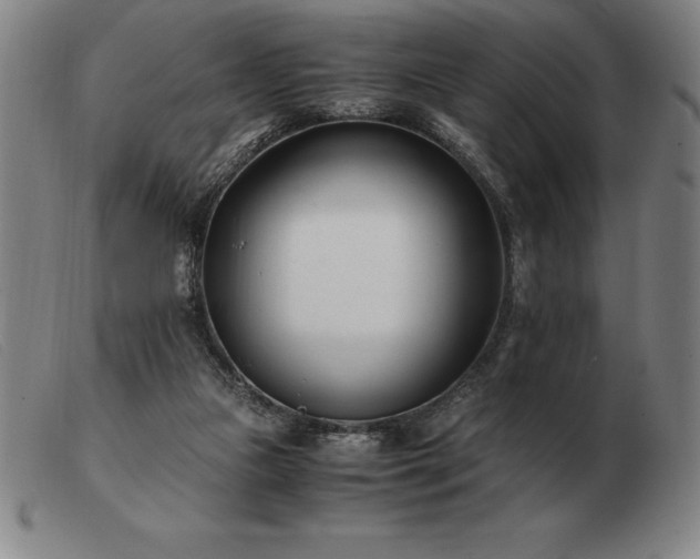 X0000103480161200809191907