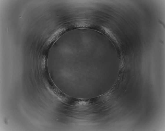X0000103480163200809191907