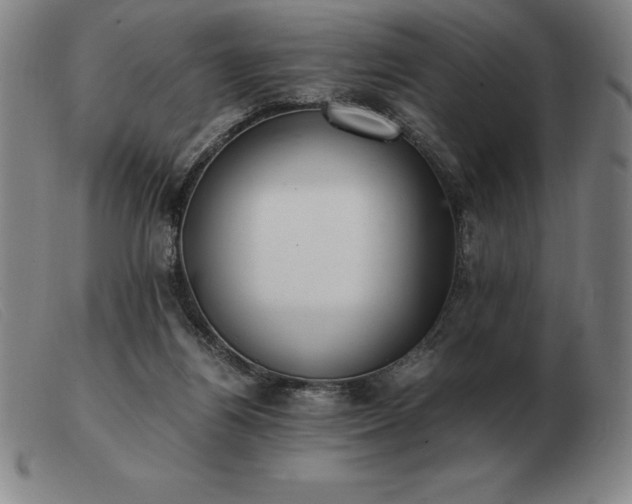 X0000103480164200809191907