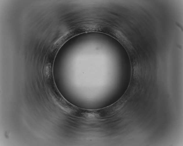 X0000103480165200809191907