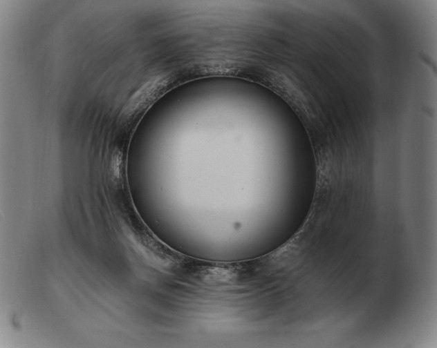 X0000103480166200809191907