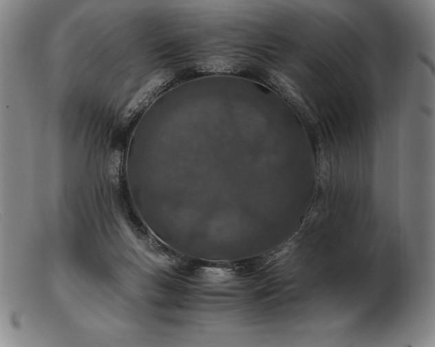 X0000103480167200809191907