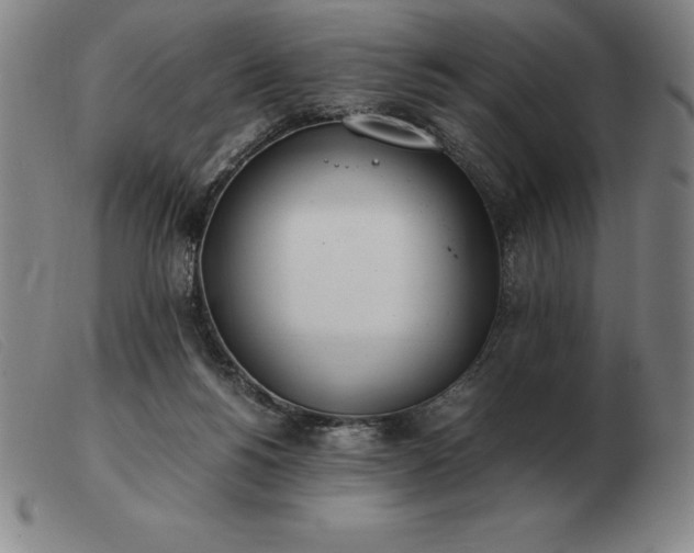X0000103480168200809191907