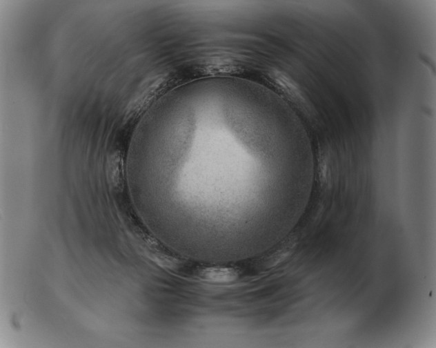 X0000103480169200809191907