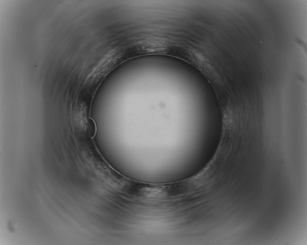 X0000103480170200809191907