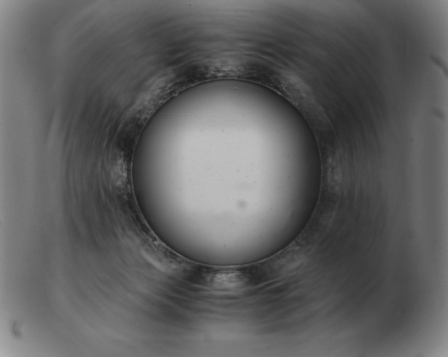 X0000103480173200809191907