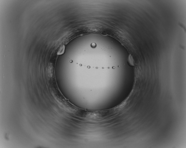 X0000103480174200809191907