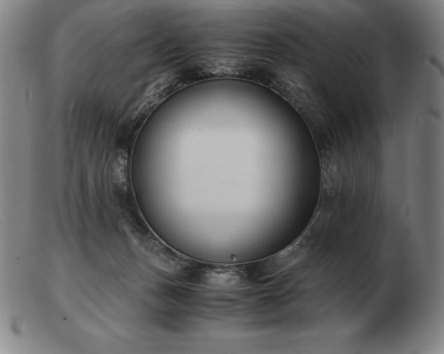 X0000103480175200809191907