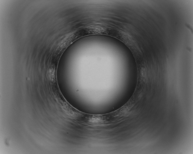X0000103480177200809191907