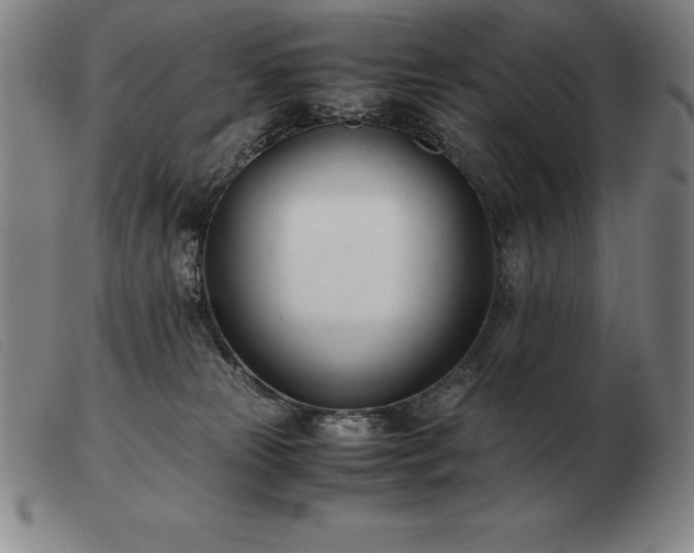 X0000103480181200809191907