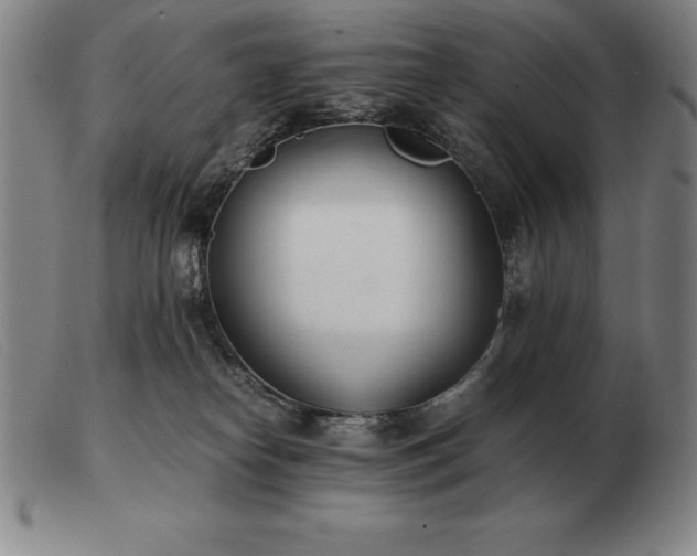 X0000103480182200809191907