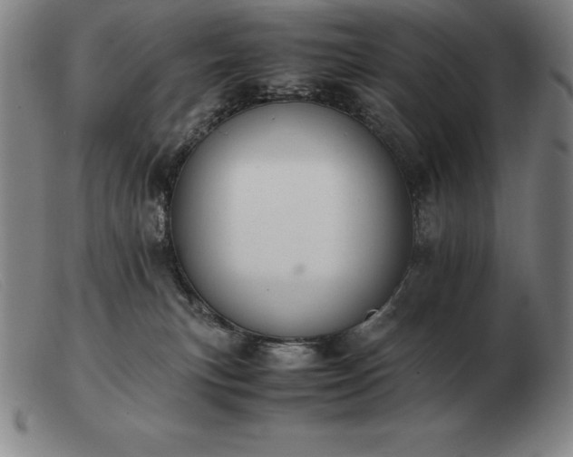 X0000103480183200809191907
