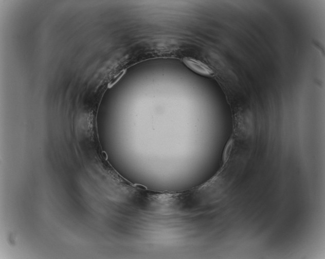 X0000103480184200809191907