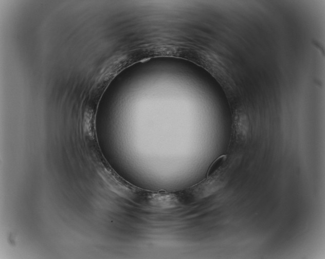 X0000103480185200809191907