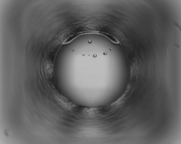 X0000103480186200809191907