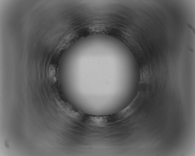 X0000103480187200809191907