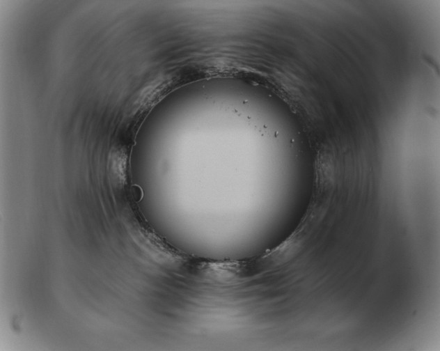 X0000103480188200809191907
