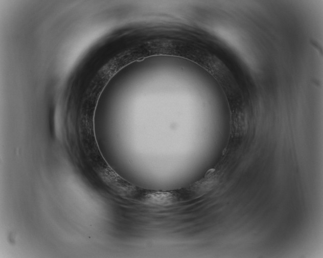 X0000103480189200809191907