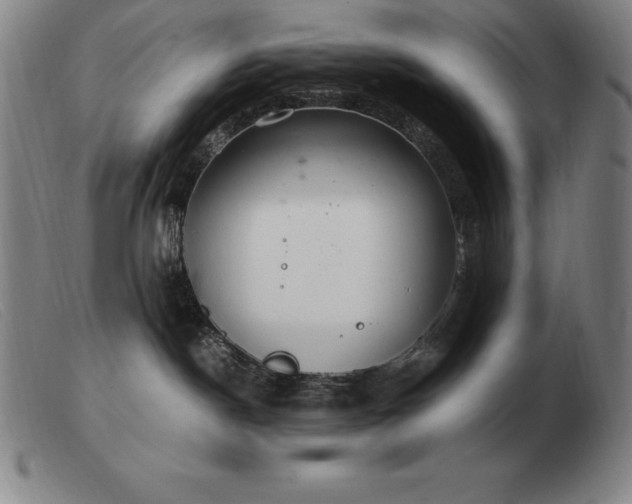 X0000103480190200809191907