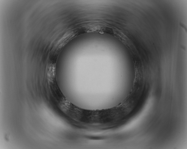 X0000103480191200809191907