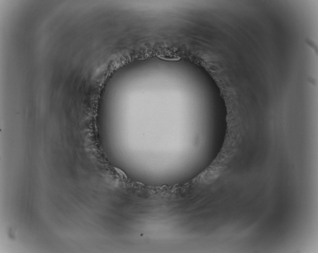X0000103480192200809191907