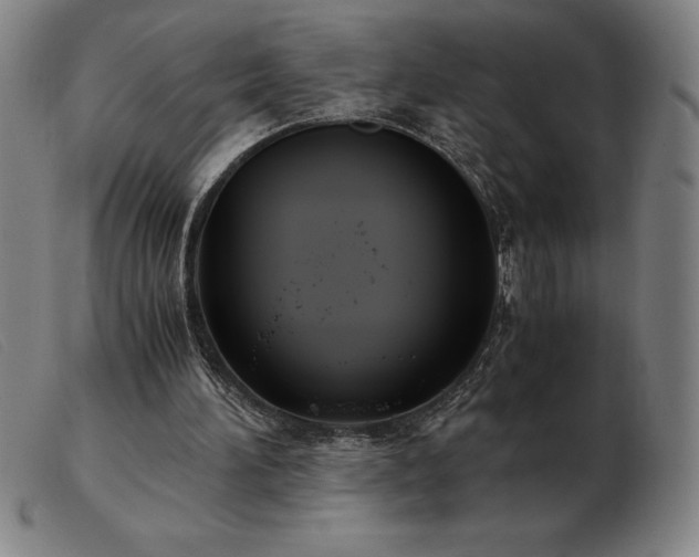 X0000103480196200809191906
