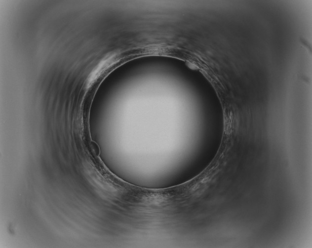 X0000103480198200809191906