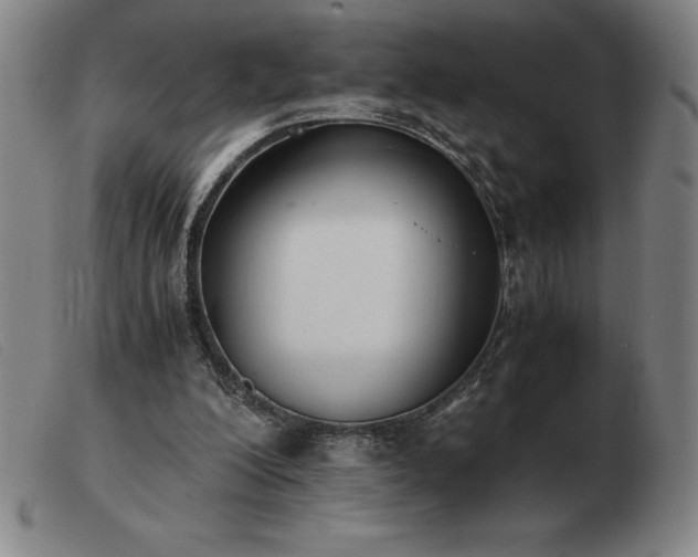 X0000103480200200809191906