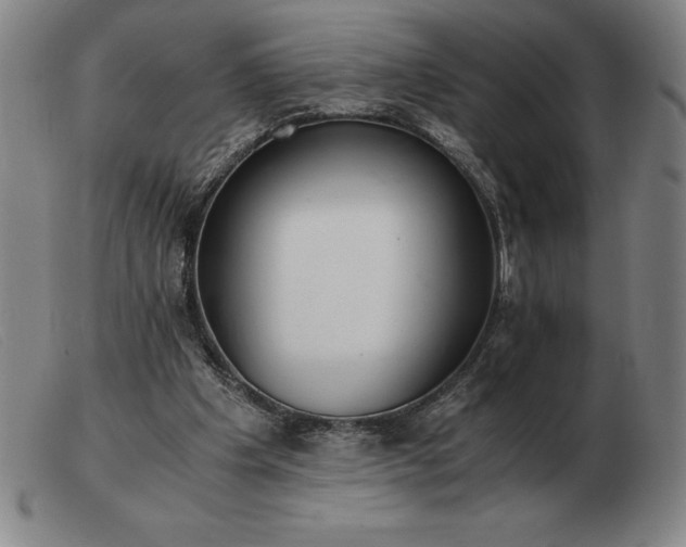 X0000103480201200809191906