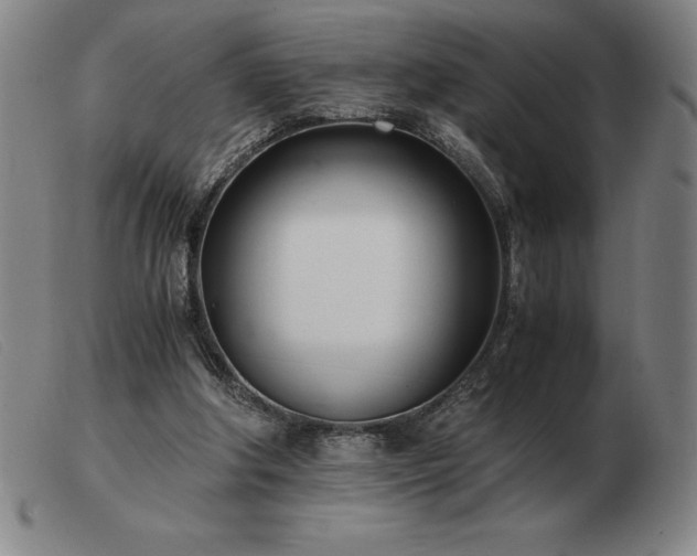 X0000103480202200809191906