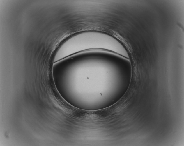 X0000103480203200809191906