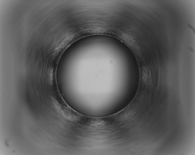 X0000103480206200809191906