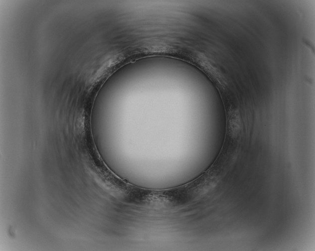 X0000103480207200809191906