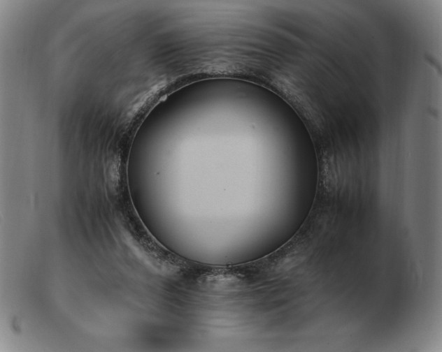 X0000103480208200809191906