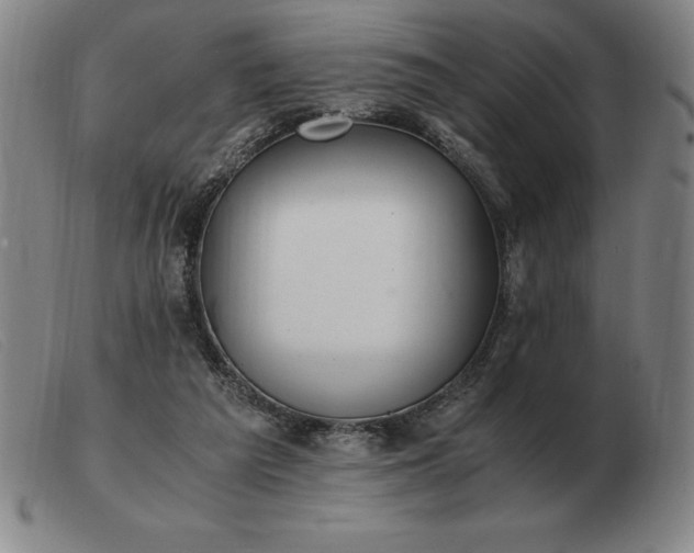 X0000103480209200809191906