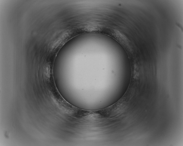 X0000103480210200809191906
