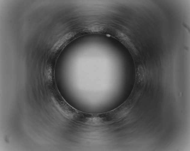 X0000103480212200809191906