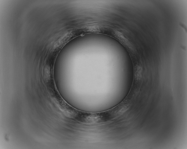 X0000103480213200809191906