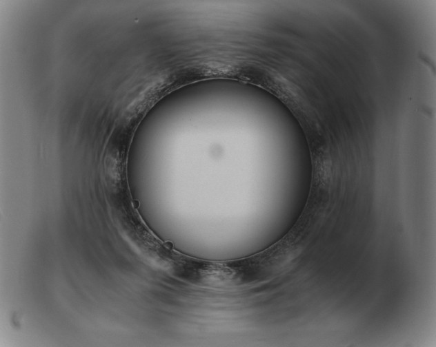 X0000103480215200809191906