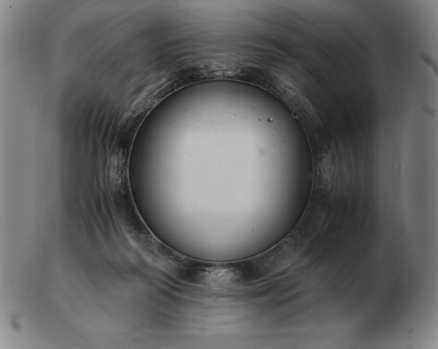 X0000103480218200809191906
