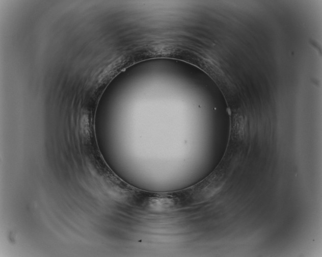 X0000103480220200809191906