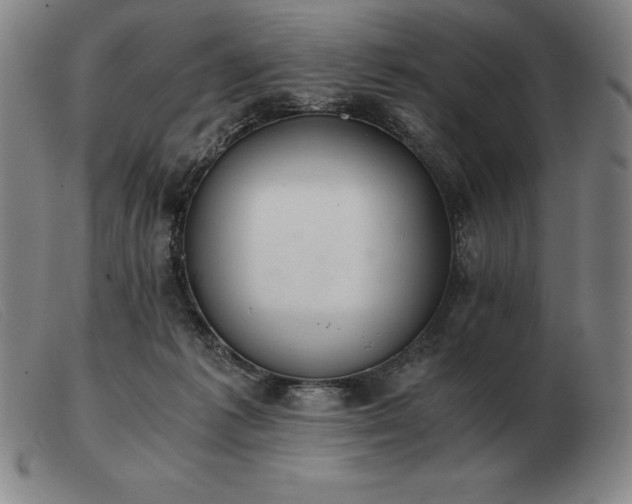 X0000103480221200809191906
