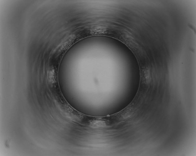 X0000103480224200809191906