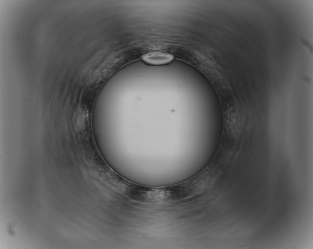 X0000103480225200809191906