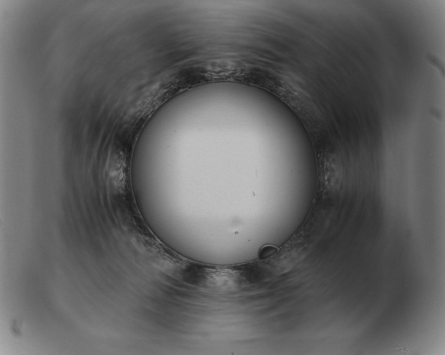 X0000103480226200809191906