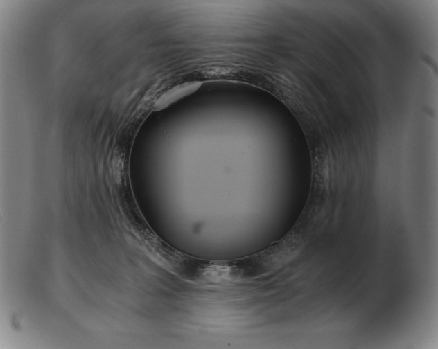 X0000103480227200809191906