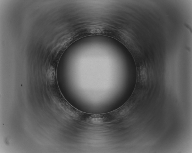 X0000103480228200809191906