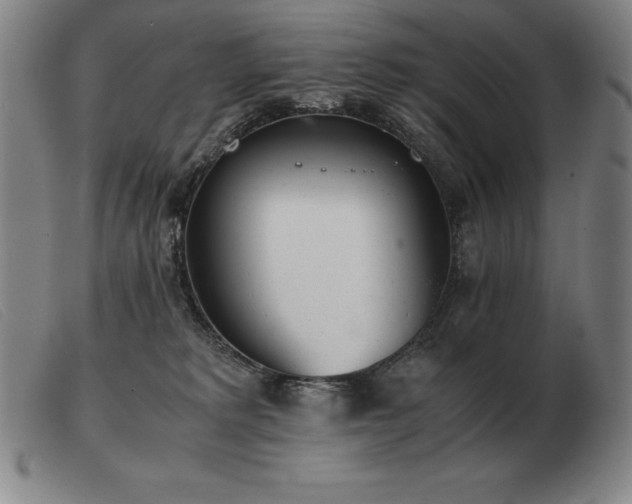 X0000103480229200809191906