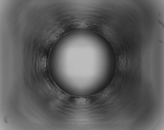 X0000103480230200809191906